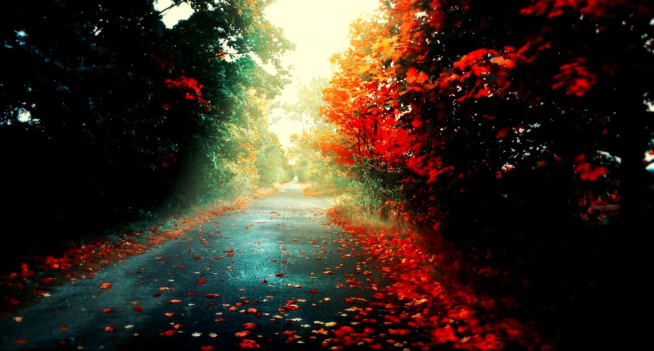 High Definition and high resusolution wallpapers