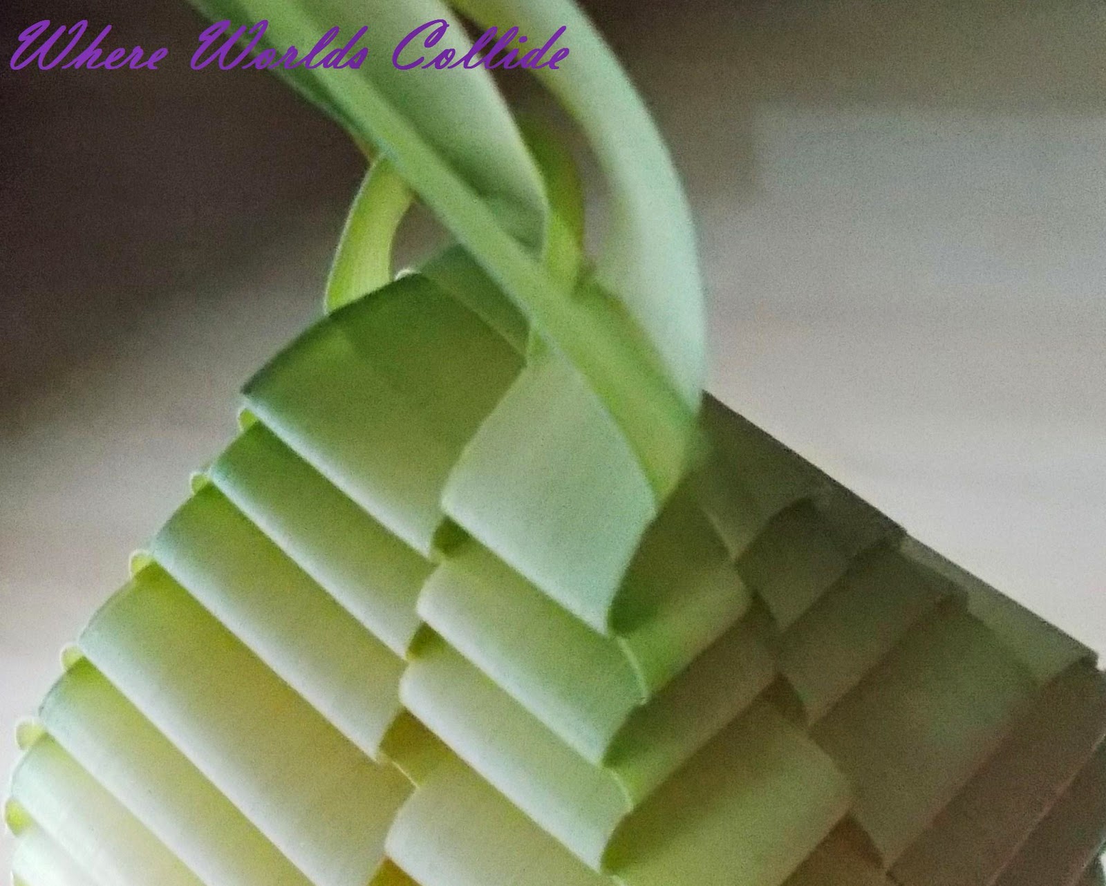 Where Worlds Collide Palm Weaving