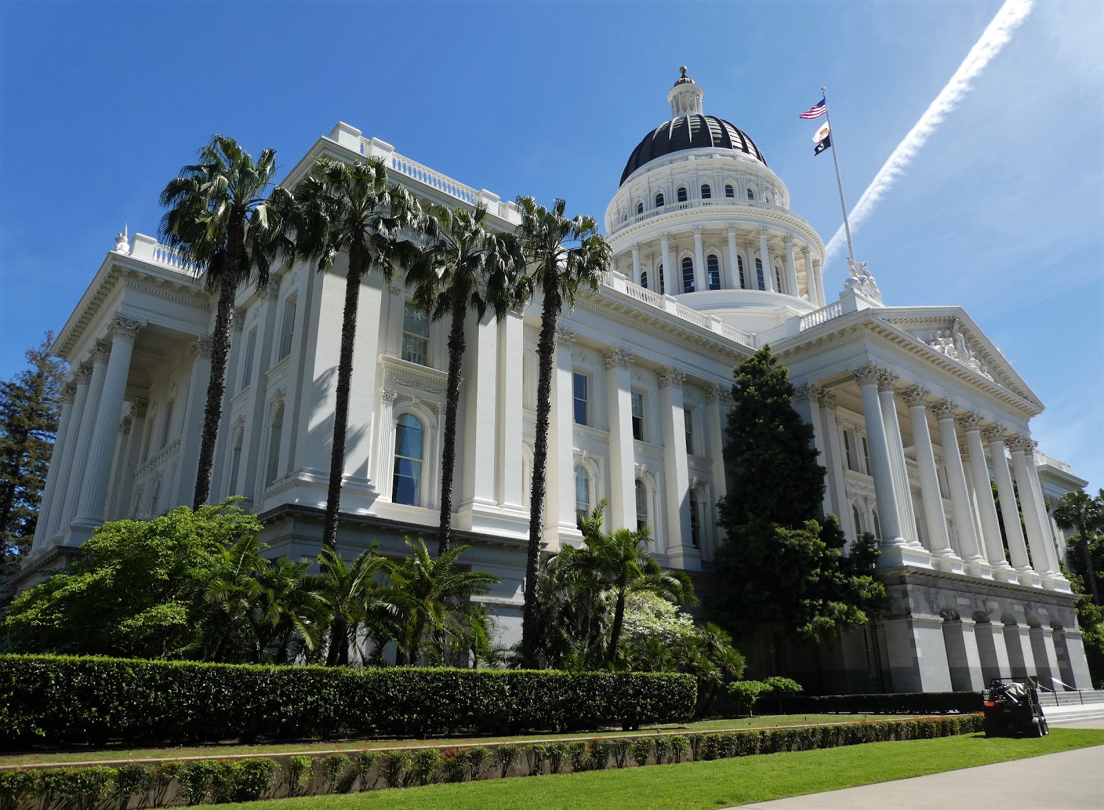 Urban Landscape, Native Landscape California State Capitol Sacramento