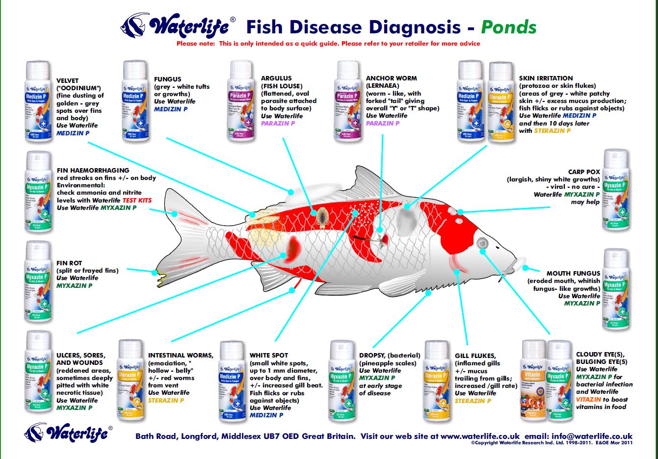 Fish Medication Chart