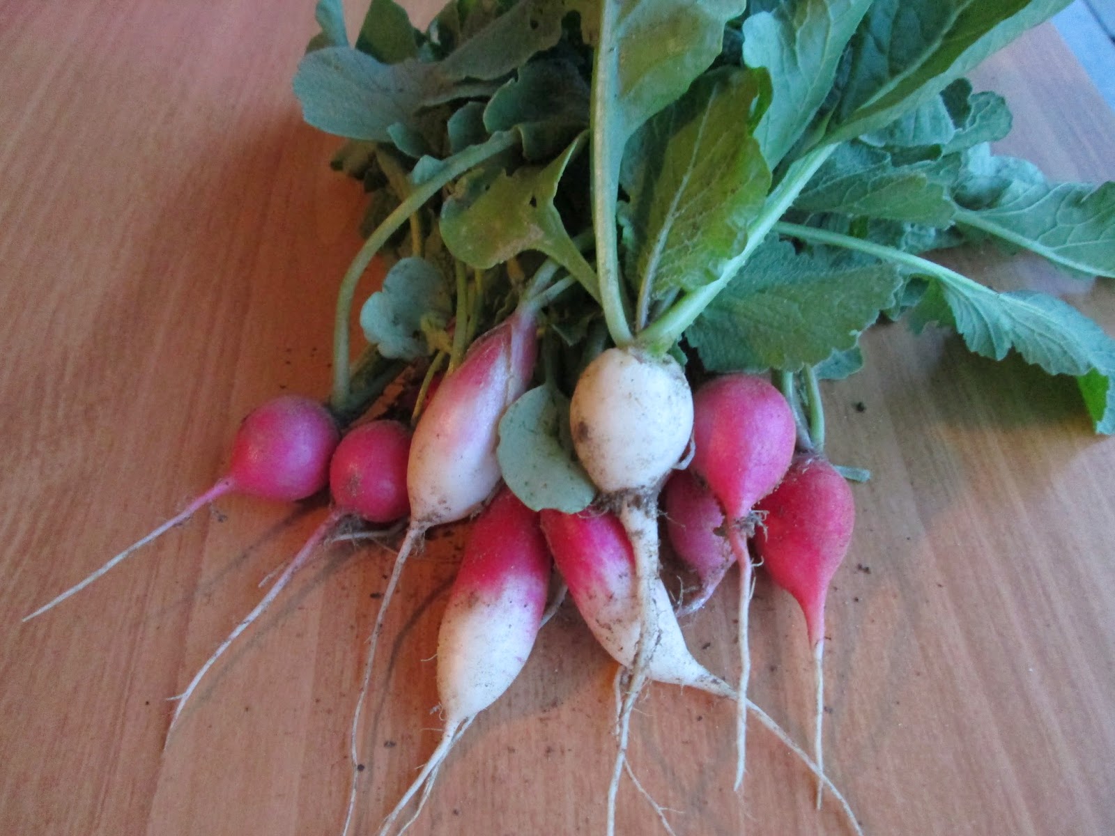 The Farmers Market in Ely, Iowa