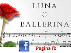 Luna Ballerina Facebook