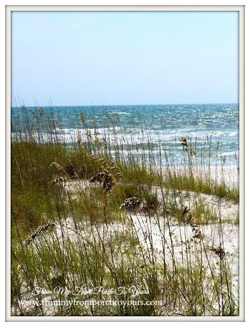 Cape San Blas, Florida-The Forgotten Coast- From My Front Porch To Yours