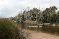Israel in Photos - Pictures of: Rubin Stream National Park (Mouth of the Soreq Stream)