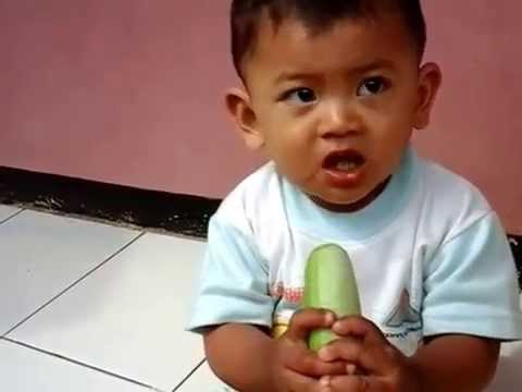 14 Cara Menghilangkan Bau Jengkol di Mulut Dengan Cepat 14 Cara Menghilangkan Bau Jengkol di Mulut Dengan Cepat