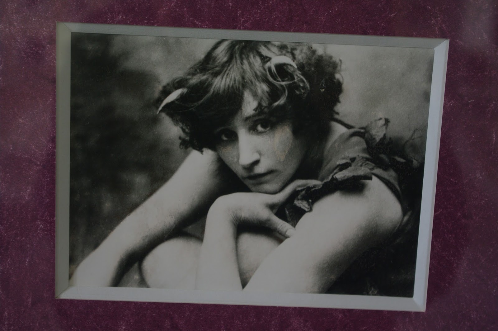 LA BLOGAZETTE DES ULIS et du HUREPOIX... Sur les pas de COLETTE à