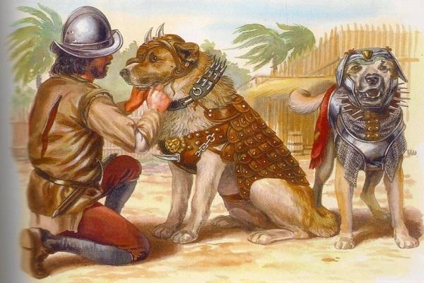 Cuando los conquistadores españoles llevaron al Nuevo Mundo perros adiestrados para dar caza y some