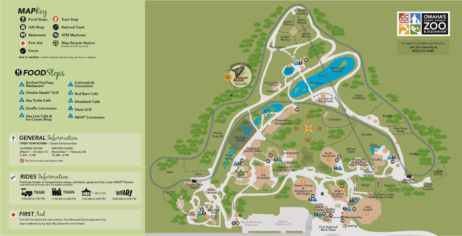 tin and sparkle BUTTERFLY PAVILION