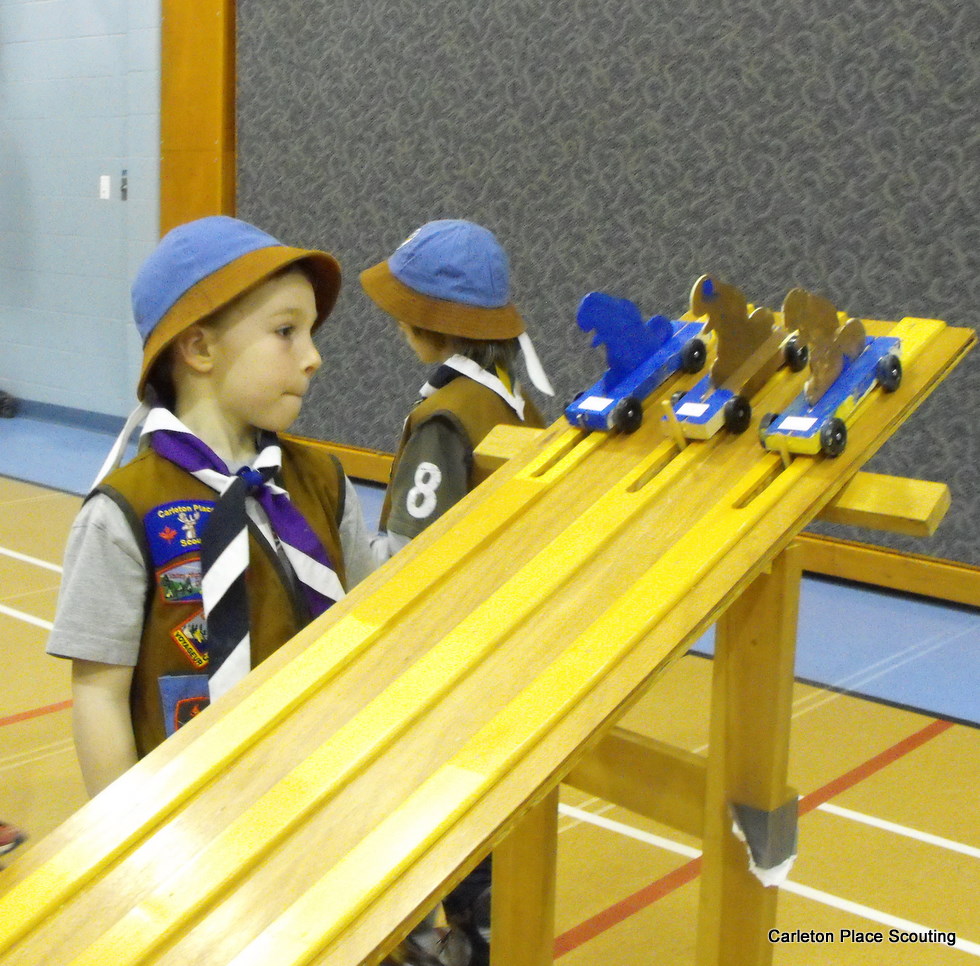 carleton-place-scouting-beaver-scouts
