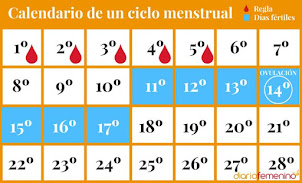 como calcular o sacar el periodo menstrual