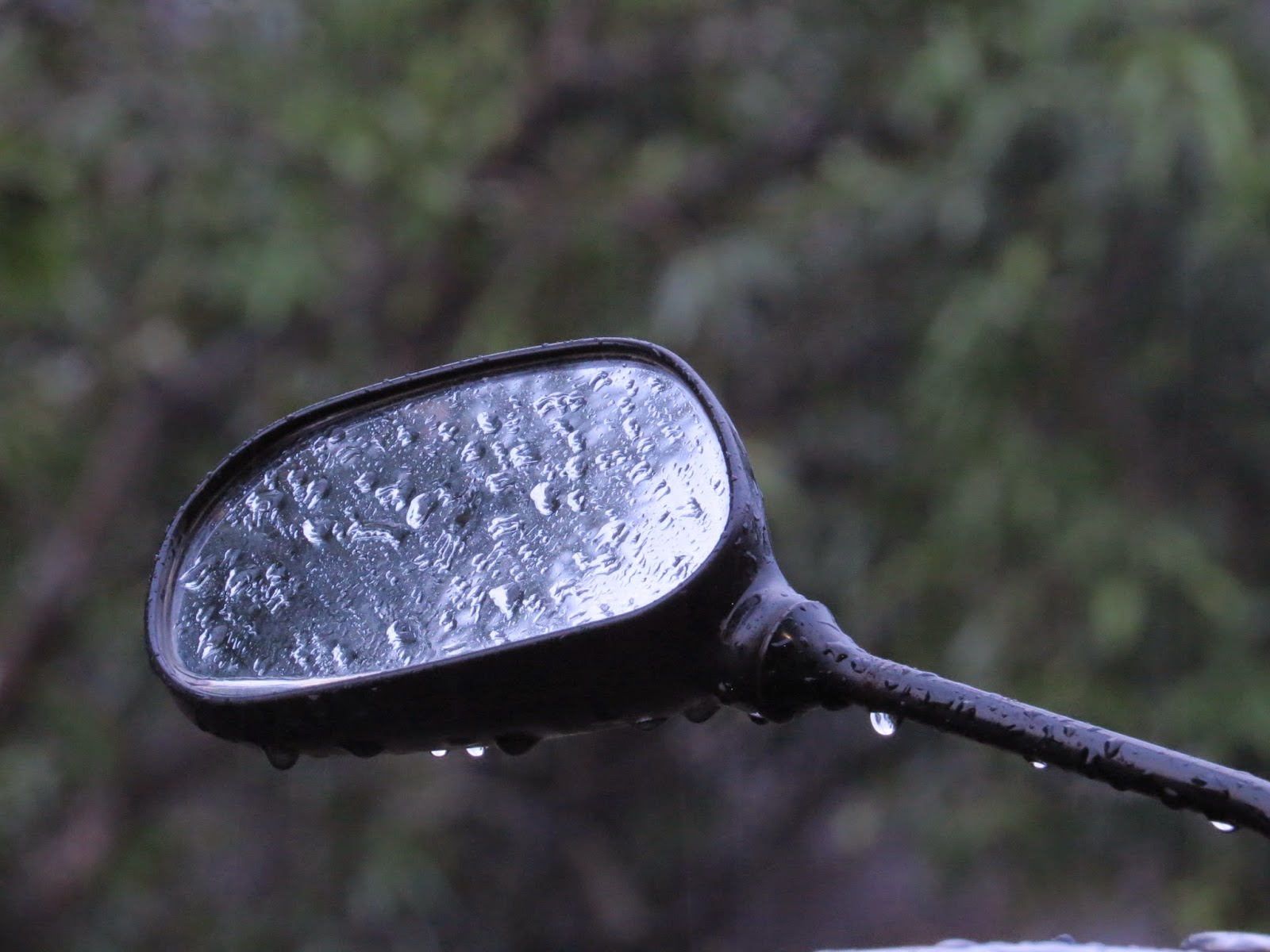 Hujan Rintik-Rintik (Foto by Admin)