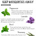 Keep Mosquitoes Away