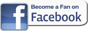Optimizing your Facebook Fan Page To Make More Money