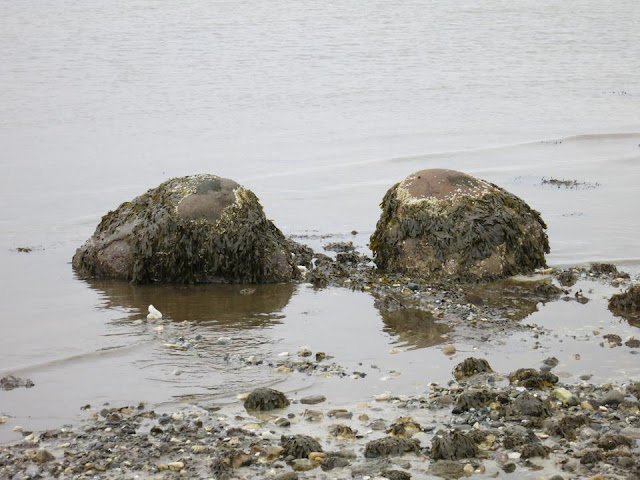 The Story Of Golog Stone Bahasa Inggris Indonesia Cerita Inggris Indonesia