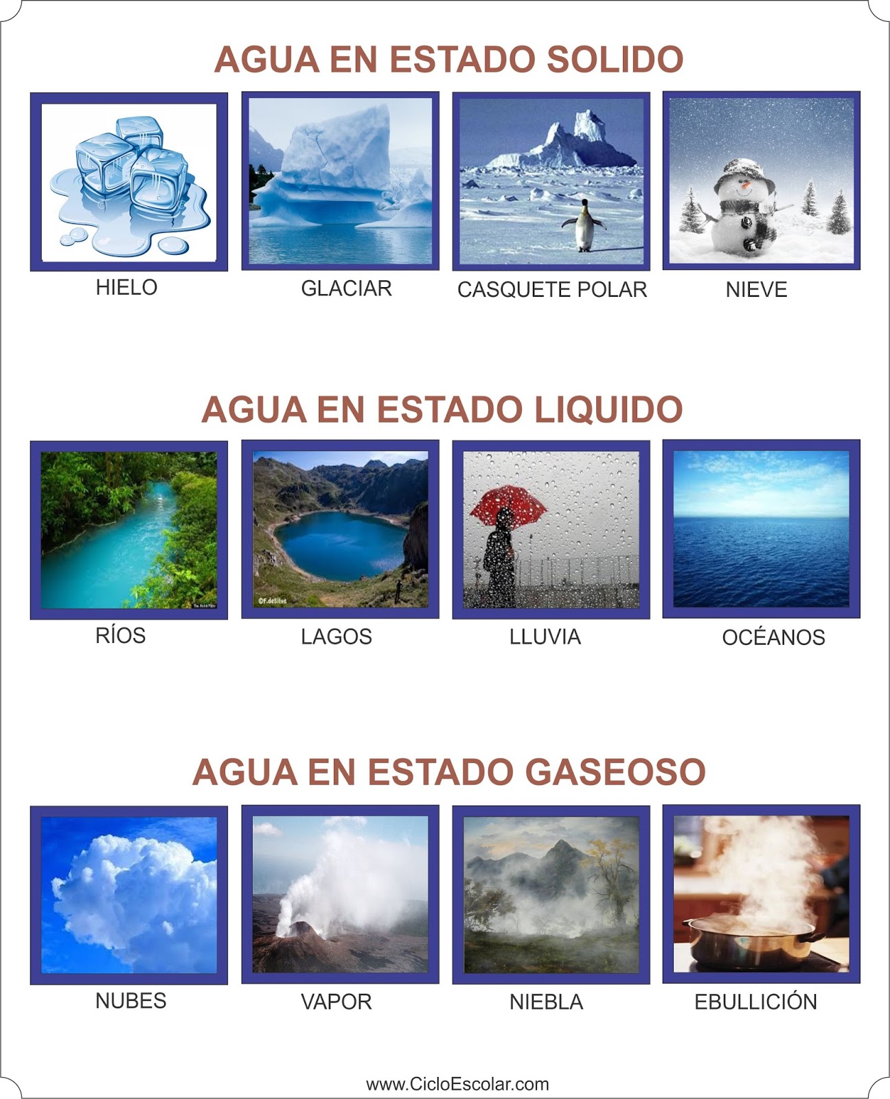 Los estados físicos del agua - Ejemplos - Ciclo Escolar