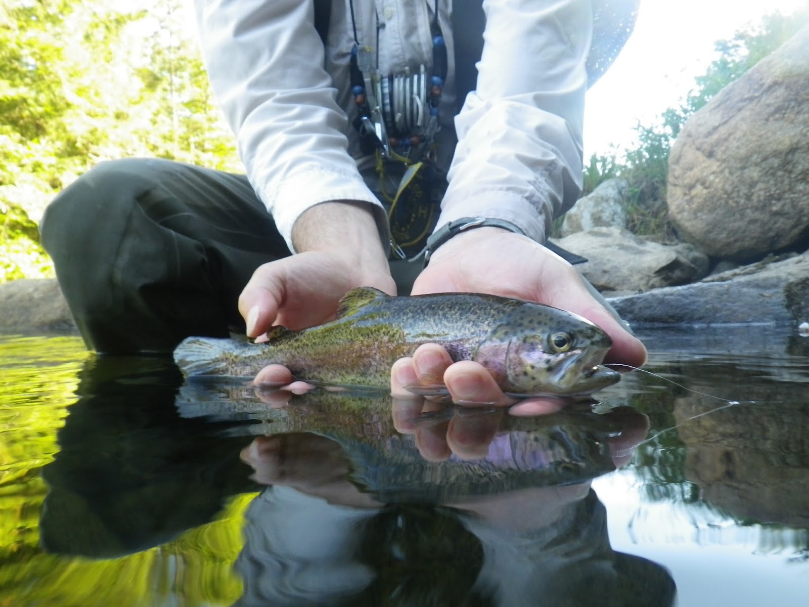 First Cast Fly Fishing Fly Fishing Lessons in New Hampshire The