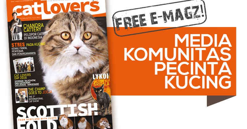 kucing kucing: Majalah Cat lovers Majalah Online untuk pencinta kucing