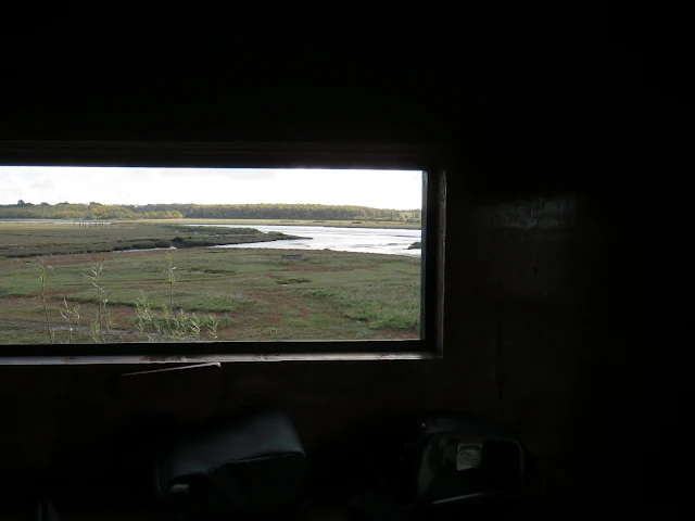 Rogerstown Estuary bird watching at North Hide