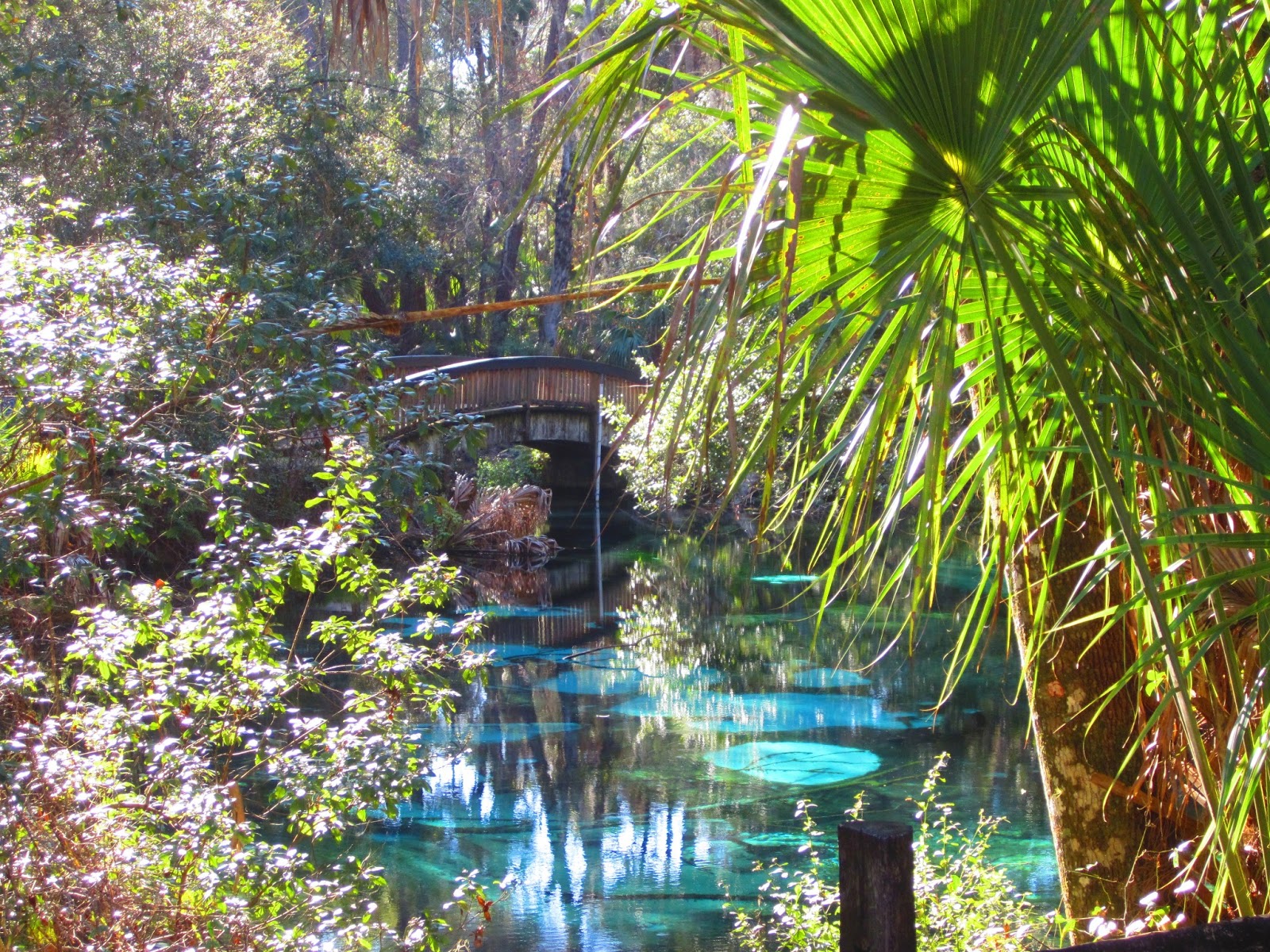 Dave's Yak Tales: Sweetwater Cabin and Juniper Run