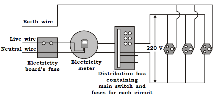 Schematic Labelled Diagram Of Domestic Electric Circuit - Jenelle Voyer