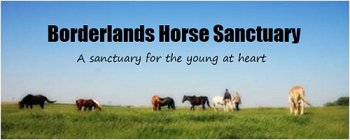 Borderlands Horse Sanctuary