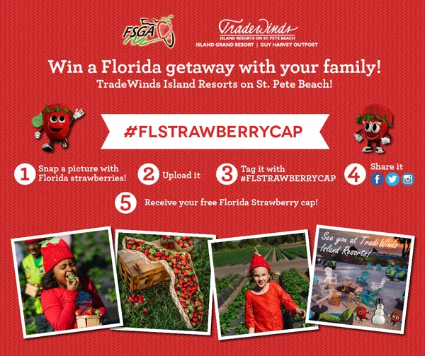 Florida Strawberry Cap Contest