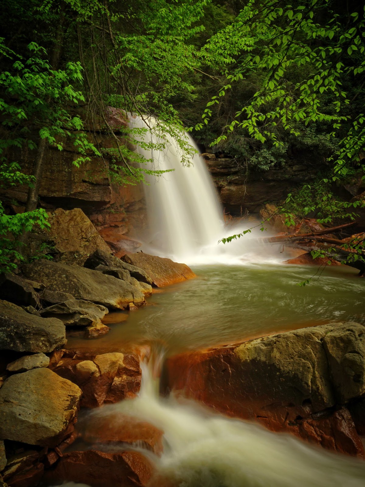 Discover West Virginia Exploring the North Fork of the Blackwater