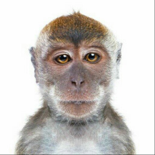 Tutorial Desain - Cara Mudah Mengganti (Merubah ...