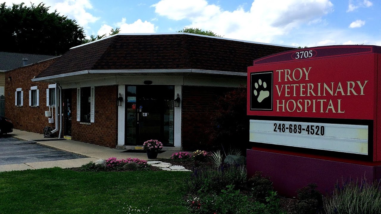 Dog Boarding Troy Mi Dog Choices