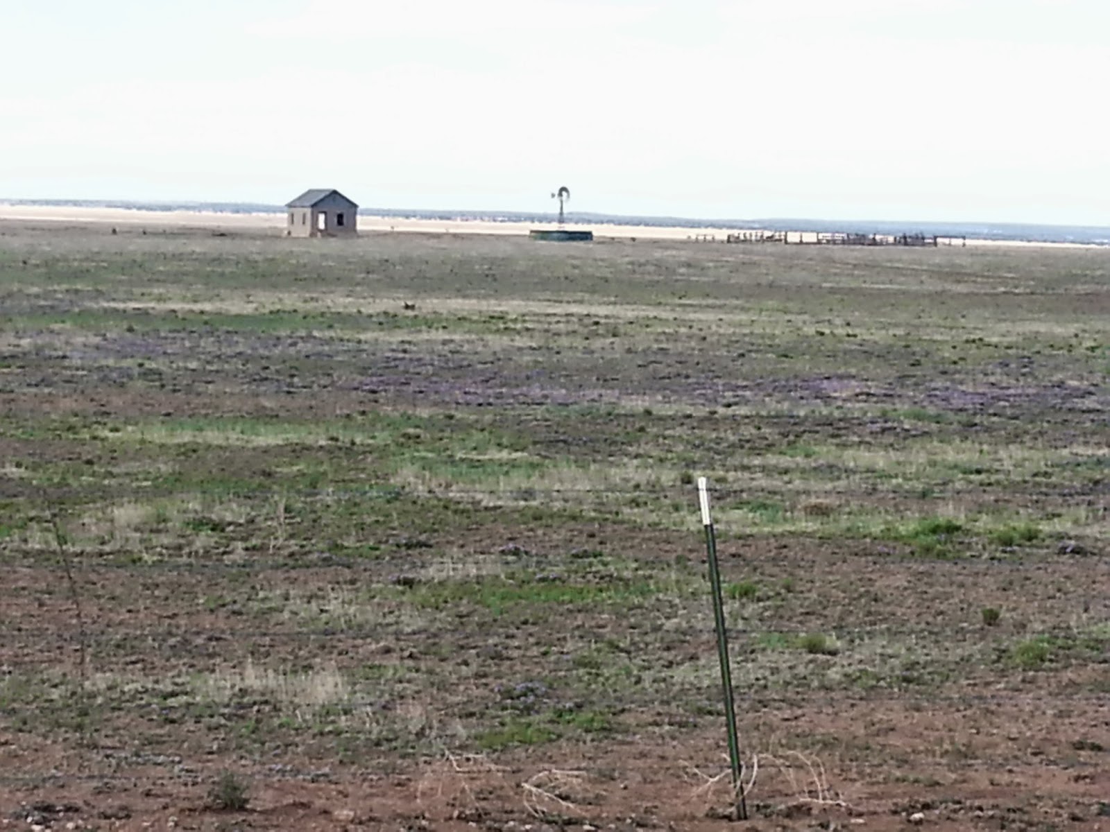Herm's CoasttoCoast Bike Ride 2014 Day 16 Las Vegas to Tucumcari, NM