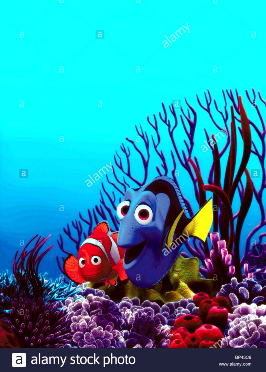 MARLIN & DORY FINDING NEMO 2003 Stock Photo 30823304 Alamy MARLIN & DORY FINDING NEMO 2003 Stock Photo 30823304 Alamy