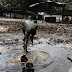Unicef: 50 mil crianças podem morrer de fome na Nigéria