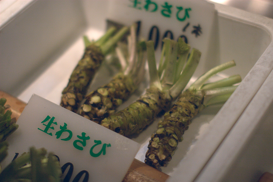 Travel Japan! Feel the four seasons Do you know wasabi and how they