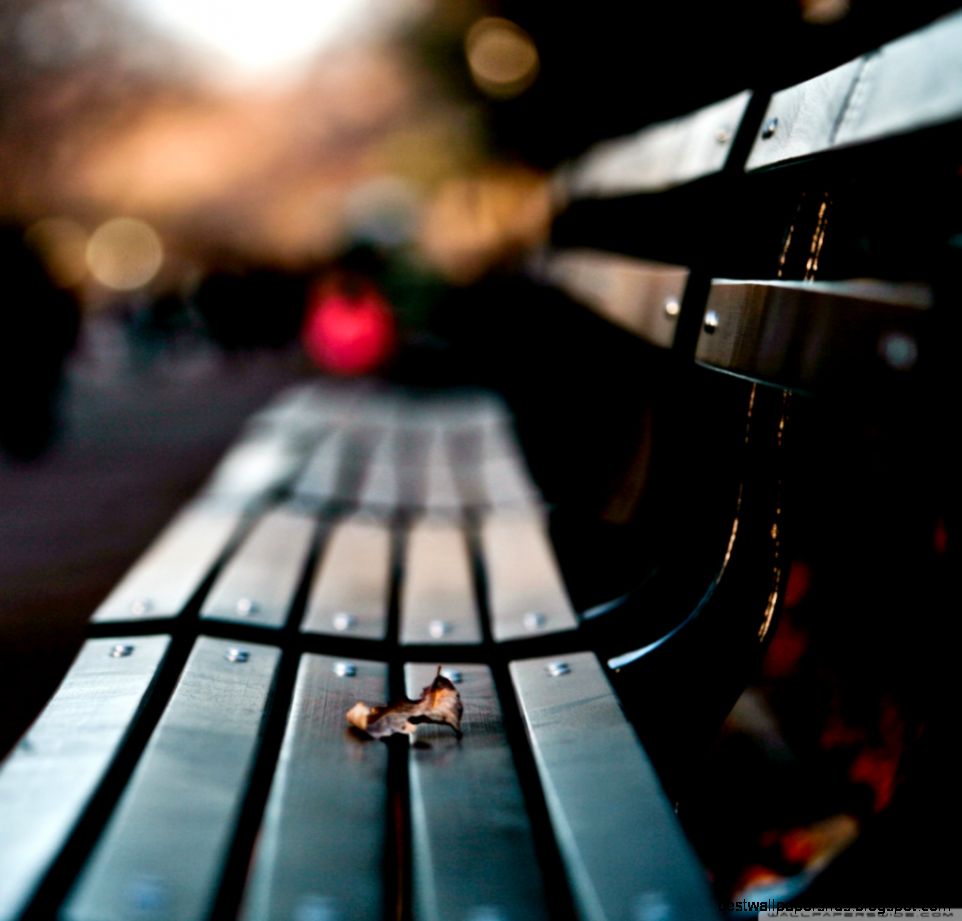 Save My Love For Loneliness HD desktop wallpaper  High Definition