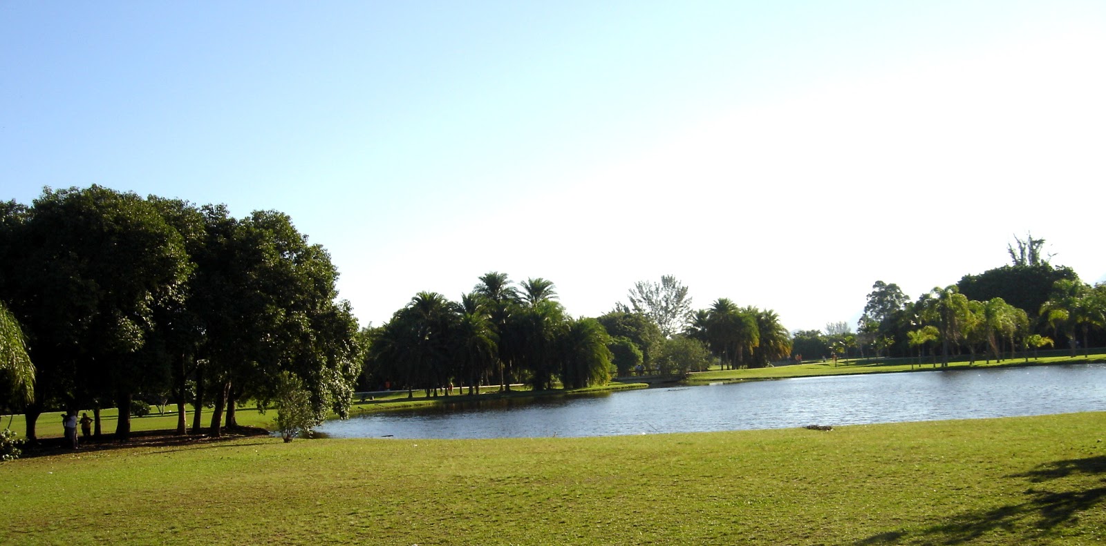 Bosque da Barra um delicioso parque no Rio de Janeiro Viajar hei