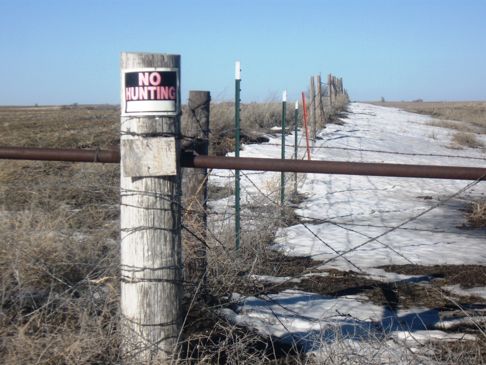 It's Sunny in KS Signs, and the Purple Paint Law