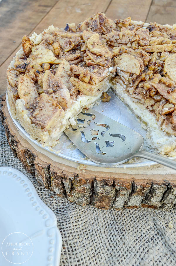 The top of this Apple Danish Cheesecake is loaded with apples and walnuts.  |  anderson + grant