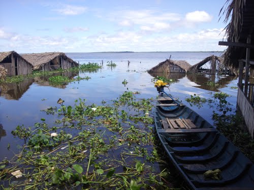 Resultado de imagem para Conceição do Lago-Açu