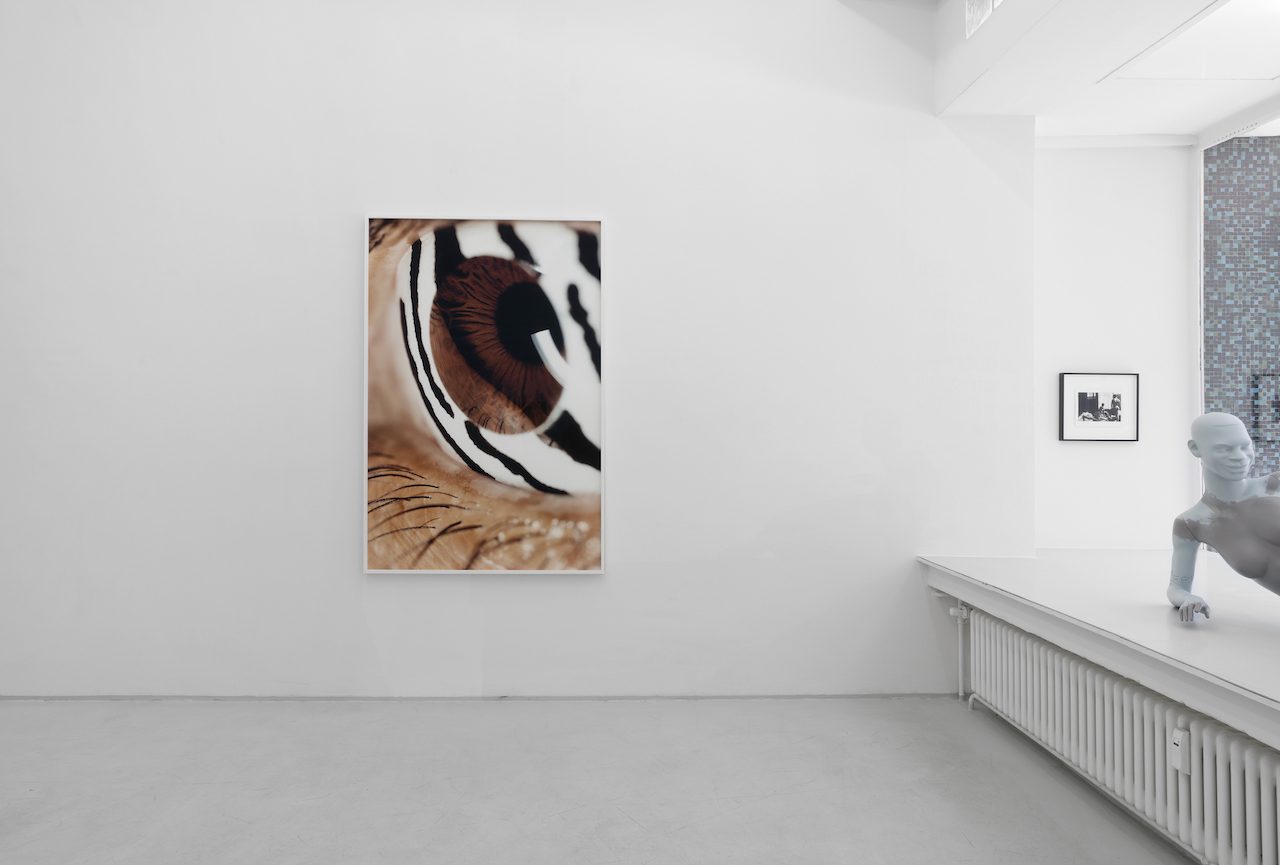 Longitudes News Updates And Reportage From Latitudes The