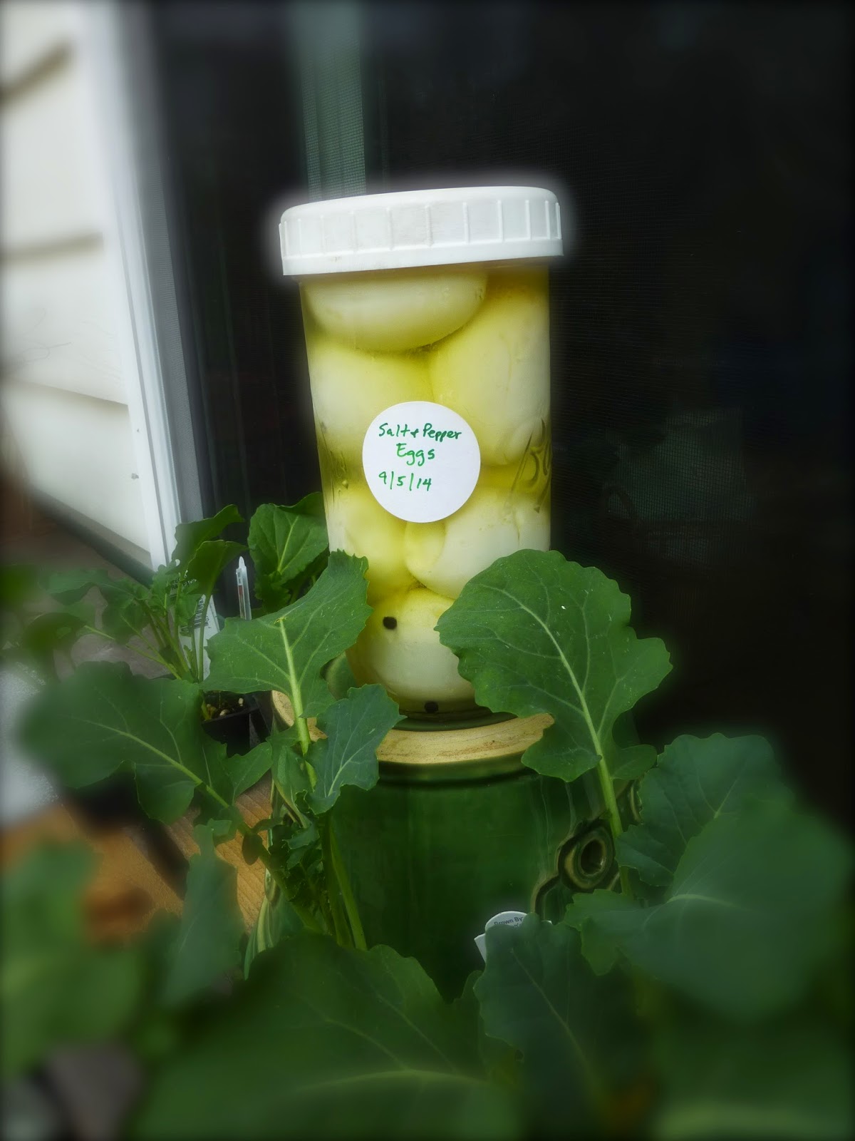 RavenCroft Garden Salt and Pepper Pickled Eggs