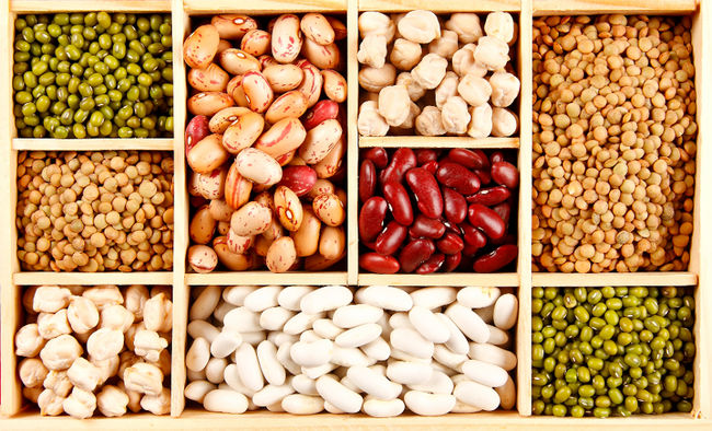 Karakteristik Kacang-Kacangan | GiziKlinikKu