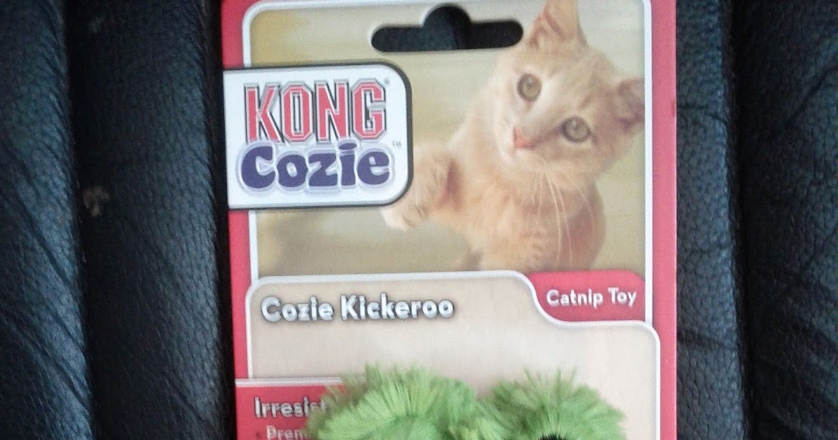 Cat and DOG Chat With Caren: New Cat Toys from KONG, "Cozies"