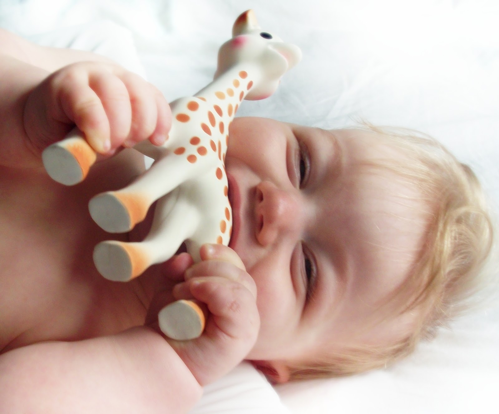Sophie the Giraffe retails at £12.99 from www.sophielagirafe.co.uk and