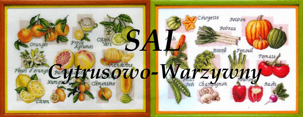 SAL cytrusowo-warzywny