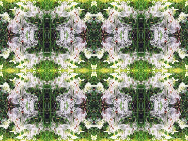 Kaleidoscope pattern photo collage - tips editing artistic photos