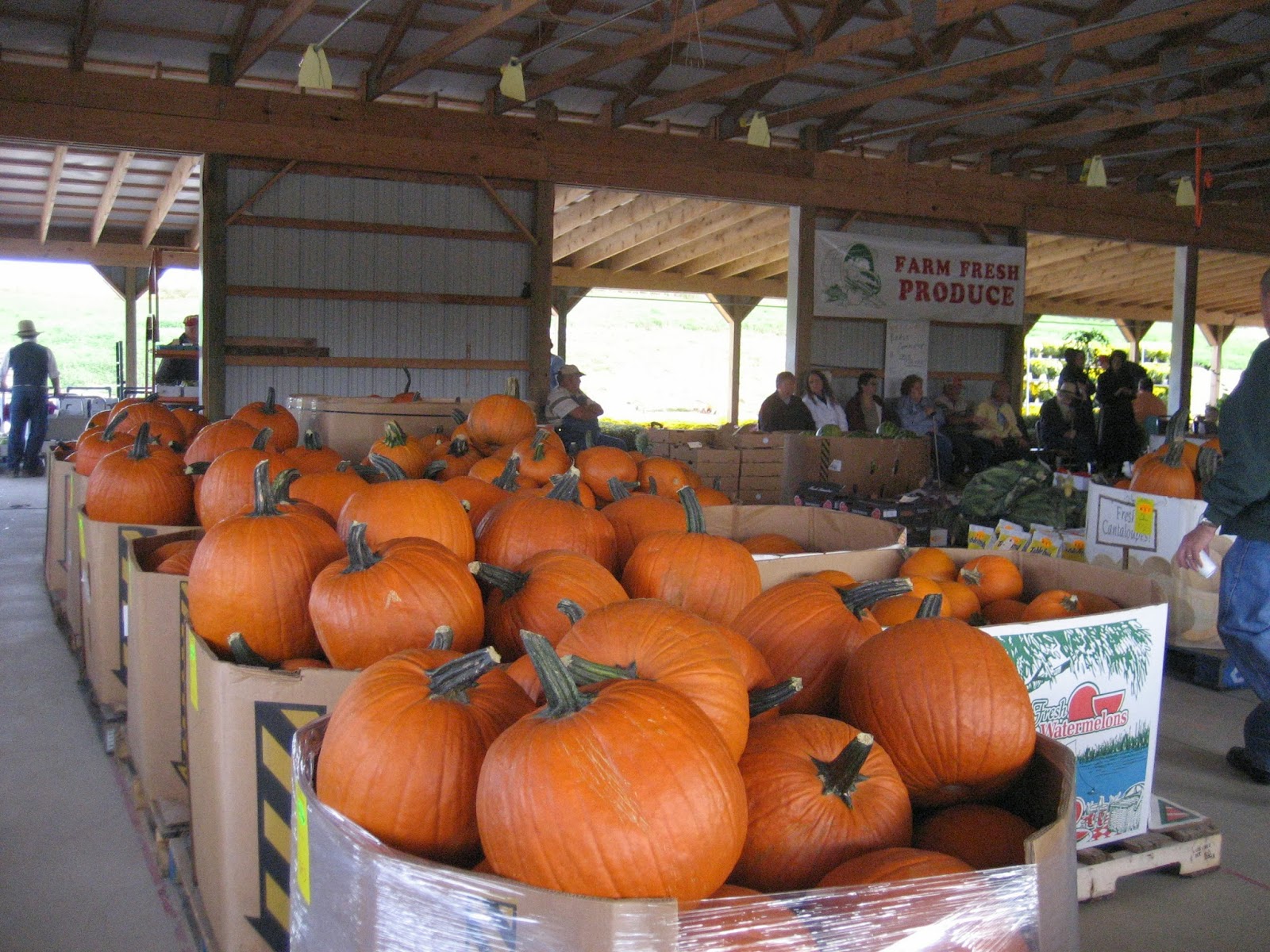 Owl Creek Produce Auction Another beautiful day for a produce auction