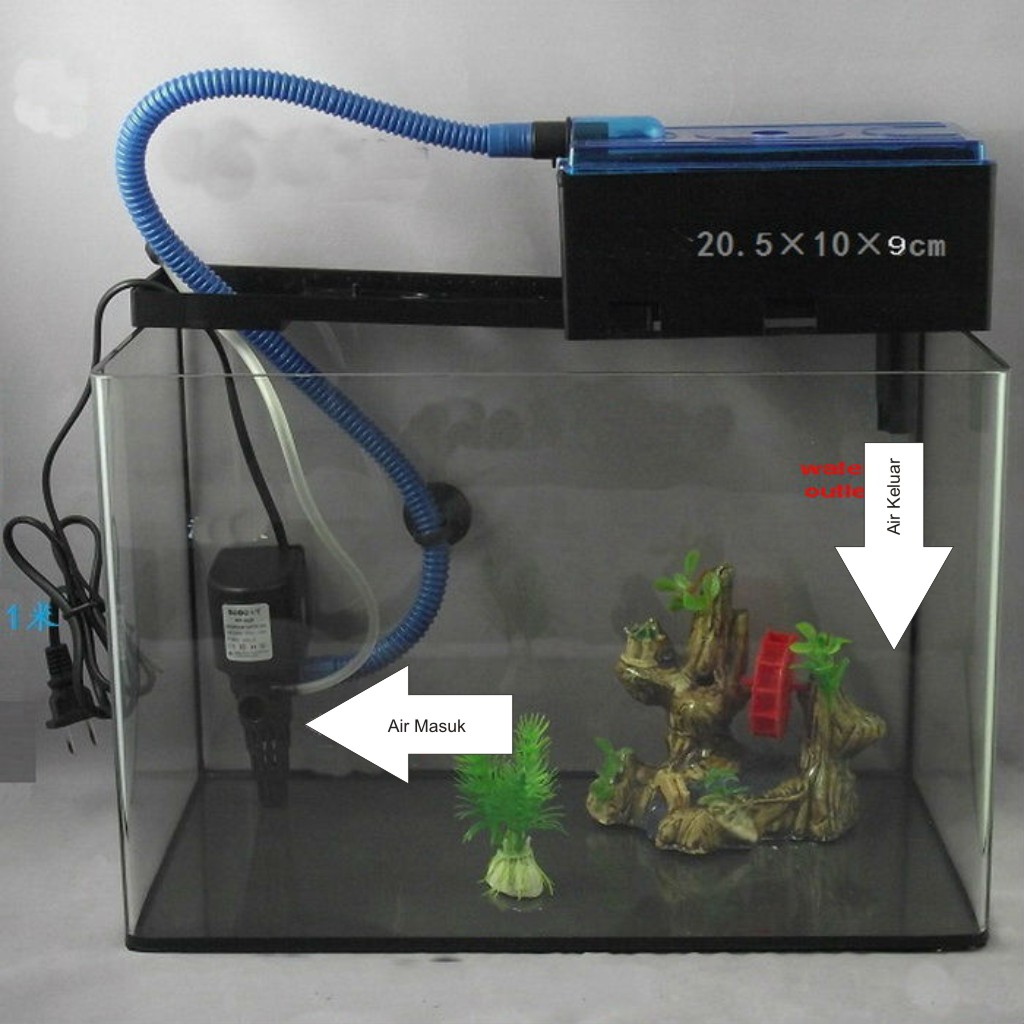 Christian Renata Lie 2017