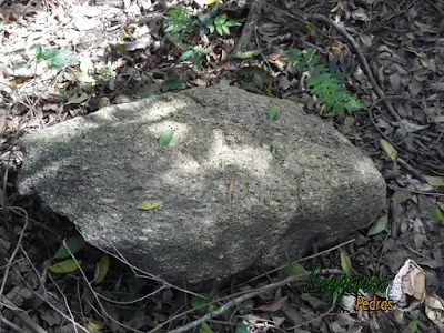 Pedra moledo para caminhos de pedra, tipo pedra natural.