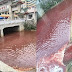 Σκηνές θρίλερ στην Κίνα: Ποταμός που διασχίζει πόλη άρχισε να ρέει... αίμα!