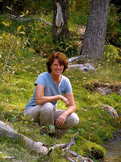 Walnut Springs Press March Madness Sweet 16 Questions--Carole Thayne ...